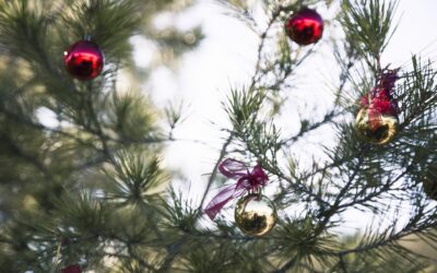 Christmas Parties at The Glass House