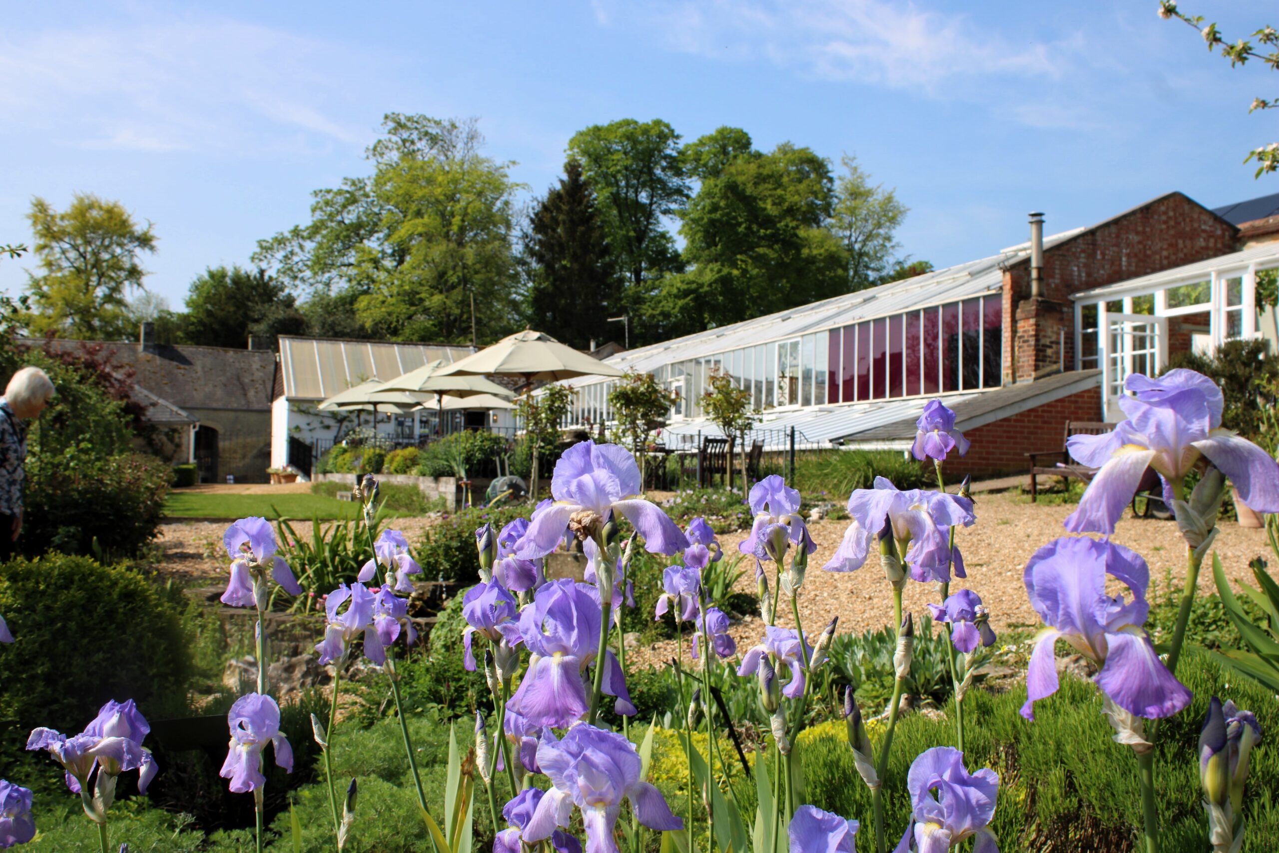 Glass House Outside (1) Glass House Outside (1)